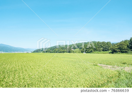 Summer rural scenery (Iiyama City, Nagano Prefecture) Summer rural scenery (Iiyama City, Nagano Prefecture) 76866639