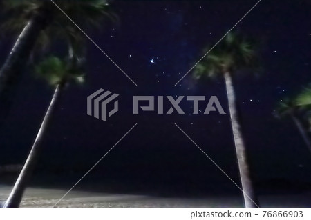 奄美大島夜景 星空下的棕櫚樹猶如熱帶國家的海岸 76866903