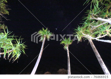 奄美大島海岸的棕櫚樹和星空 奄美大島海岸的棕櫚樹和星空 76866915