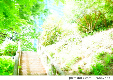 美麗清新的綠色長廊 美麗清新的綠色長廊 76867353