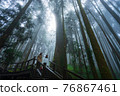 Walkway in Misty forest 76867461