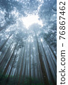 Misty forest in rainy season. 76867462