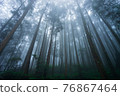 Misty forest in rainy season. 76867464
