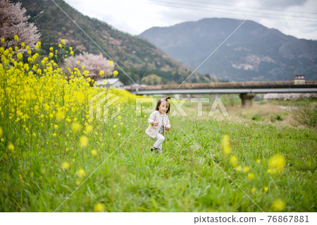 Spring rape blossoms, cherry blossoms and children Spring rape blossoms, cherry blossoms and children 76867881