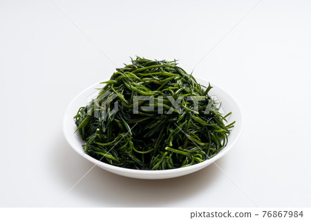 羊棲菜,室內 羊棲菜,室內 76867984