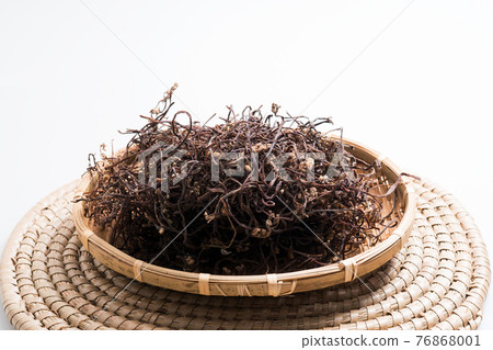 Fern, indoors 76868001