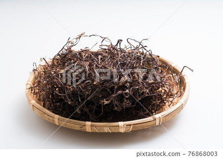 Fern, indoors 76868003