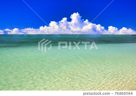 宮島的美麗的珊瑚礁海 宮島的美麗的珊瑚礁海 76868564