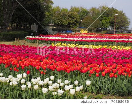 Tulip Fukaya Green Park Aqua Paradise Patio 76868686