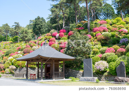 Ome City Shiofune Kannon Azalea Festival Ome City Shiofune Kannon Azalea Festival 76868698