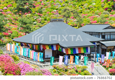 青梅市鹽船觀音古馬杜杜鵑花節 76868702