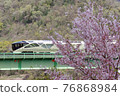盛開的櫻花和列車套房敷島 76868984