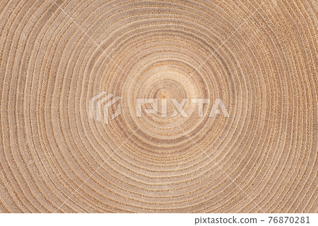 Wood grain Wood grain 76870281