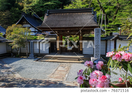 Murouji Temple / Honbo Murouji Temple / Honbo 76871516