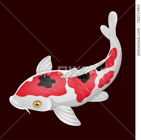 Cartoon cute koi fish on red background - Stock Illustration [76872465] -  PIXTA