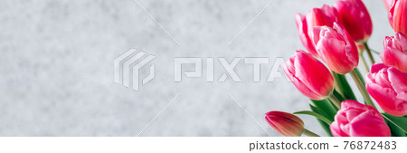 Fresh tulip flowers on a gray background. 76872483