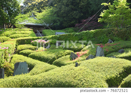 Rinshoji Temple Horin Garden (Shindachiokanaka, Sennan City, Osaka Prefecture) Rinshoji Temple Horin Garden (Shindachiokanaka, Sennan City, Osaka Prefecture) 76872521