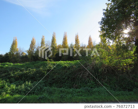 Natural landscape 76872713