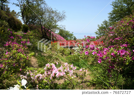 Tannowa Yuen(大阪市仙南郡三崎町Tannowa) Tannowa Yuen(大阪市仙南郡三崎町Tannowa) 76872727