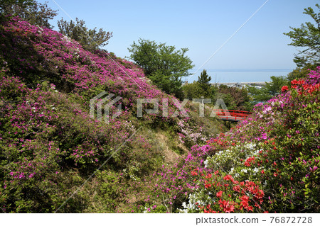 Tannowa Yuen (Tannowa, Misaki-cho, Sennan-gun, Osaka) 76872728