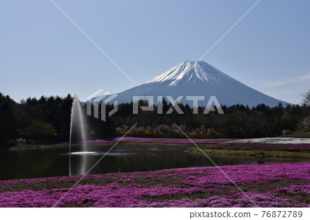 Mount Fuji and mushrooms Mount Fuji and mushrooms 76872789