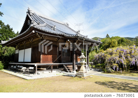 Koyasujizoji main hall where wisteria flowers bloom (Shobutani, Hashimoto City, Wakayama) 76873001