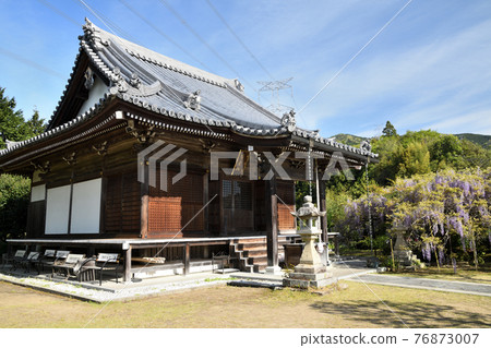 Koyasujizoji main hall where wisteria flowers bloom (Shobutani, Hashimoto City, Wakayama) Koyasujizoji main hall where wisteria flowers bloom (Shobutani, Hashimoto City, Wakayama) 76873007