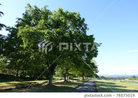 Naoe Ishidai Naoetei Park 米澤市 Naoe Ishidai Naoetei Park 米澤市 76873019