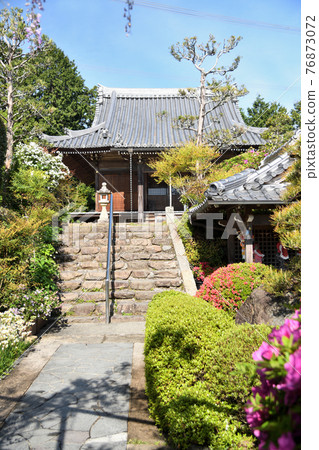 Koyasujizoji main hall where azalea flowers bloom (Shobutani, Hashimoto City, Wakayama) Koyasujizoji main hall where azalea flowers bloom (Shobutani, Hashimoto City, Wakayama) 76873072