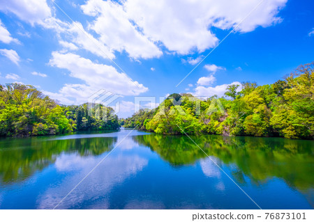 Osaka Prefectural Forest Fresh Green Muroike 76873101