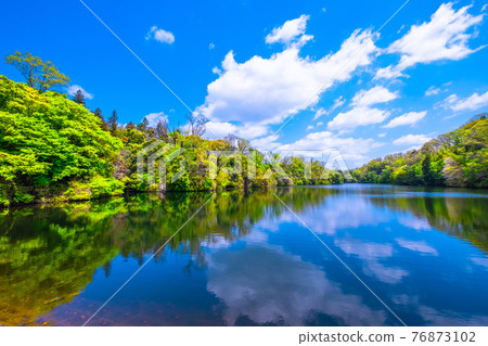Osaka Prefectural Forest Fresh Green Muroike 76873102