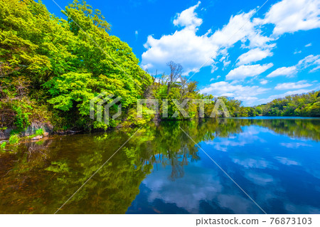 Osaka Prefectural Forest Fresh Green Muroike 76873103