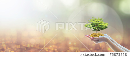 Sustainable business investment in environment, social, governance (ESG) and CSR concept in clean industry with volunteer hands holding green tree on capital fund wealth on world city bokeh background 76873338