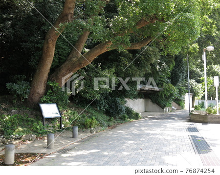 阿比子市的魚之道（瀧井高作遺址附近） 76874254