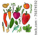 Vegetable set vector illustration - watercolor style 76874592