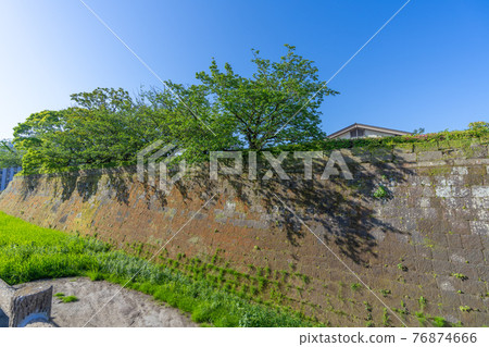 Kagoshima Castle (Tsurumaru Castle) and Kagoshima Prefectural Historical Materials Center Reimeikan Kagoshima Castle (Tsurumaru Castle) and Kagoshima Prefectural Historical Materials Center Reimeikan 76874666