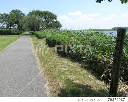 Teganuma Promenade (Teganuma Hydro Plaza-Aquatic Botanical Garden) 76874987