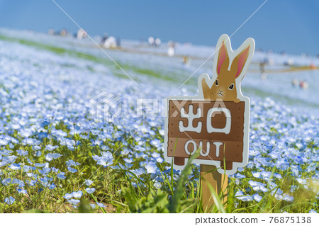 Exit of Hitachi Seaside Park / Miharashi Hill 76875138