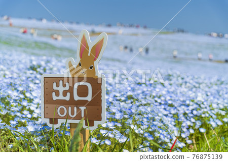 Exit of Hitachi Seaside Park / Miharashi Hill 76875139