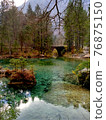 Glorious woodland scenery with stone bridge and small pines. 76875150
