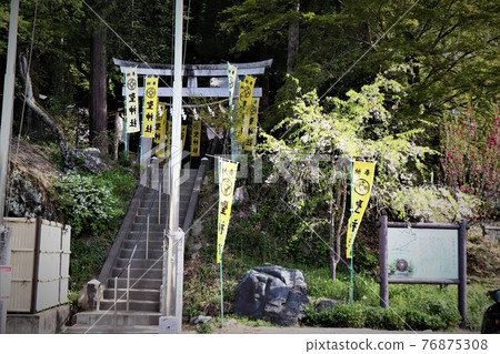 Chichibu Hijiri Shrine (Torii on the approach) 76875308