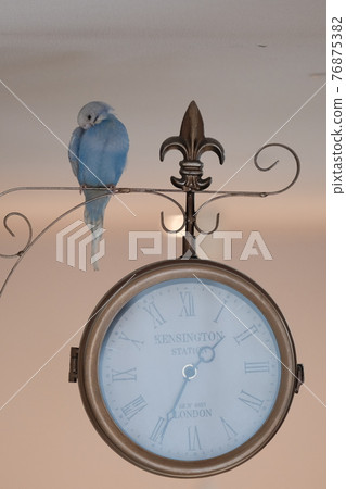 Small family / you and me 76875382