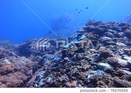 Liumi Reef Green Island Taitung 76876089