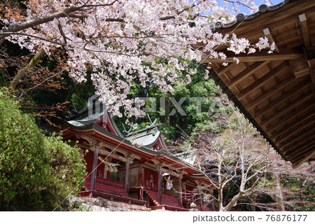 大和寺花寺長谷寺三社權現 照片素材 圖片 圖庫