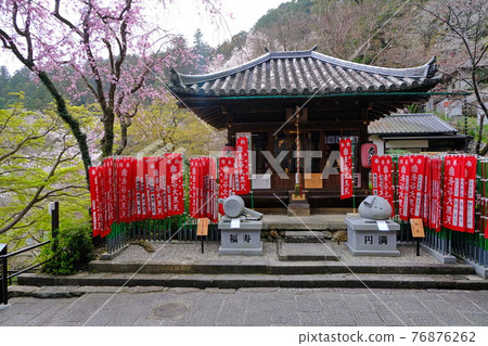 大和寺花寺 長谷寺大黑堂 照片素材 圖片 圖庫