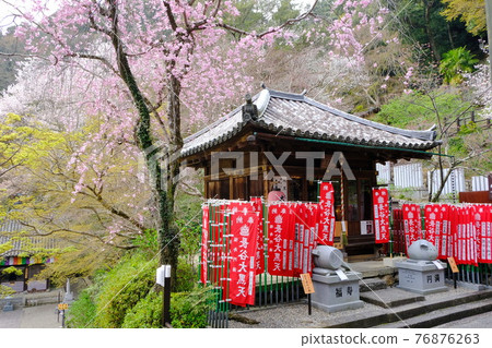 大和寺花寺、長谷寺大黑堂 大和寺花寺、長谷寺大黑堂 76876263