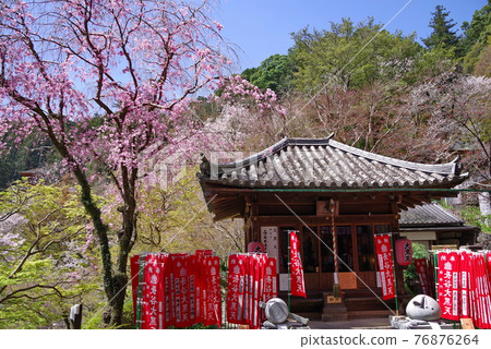 大和寺花寺、長谷寺大黑堂 大和寺花寺、長谷寺大黑堂 76876264