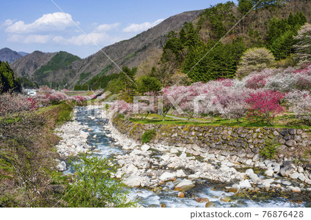 Southern Shinshu Hanamo no Sato 76876428