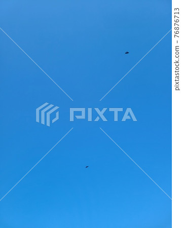 天空和鳥兒 76876713