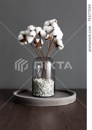A bouquet of cotton in a transparent vase standing filled with white stones standing on a concrete stand. Delicate bouquet. A bouquet of cotton in a transparent vase standing filled with white stones standing on a concrete stand. Delicate bouquet. 76877094